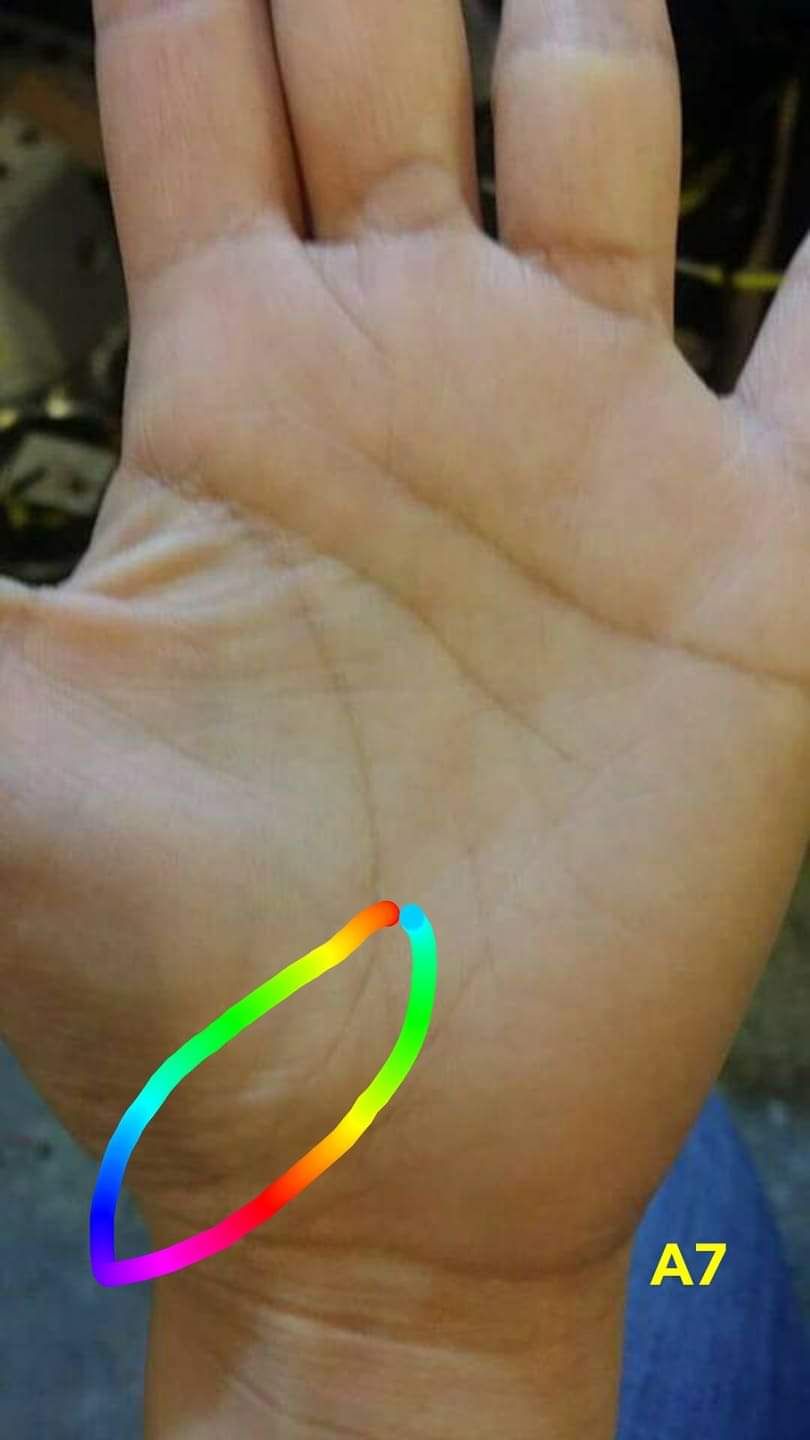 A7 LIFE LINE CURVE TO THUMB